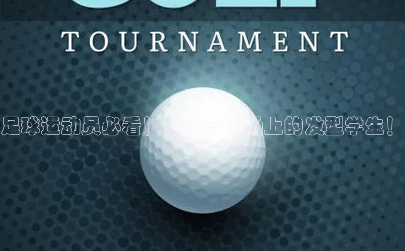 尊龙官方网站官网入口阿里尔公司