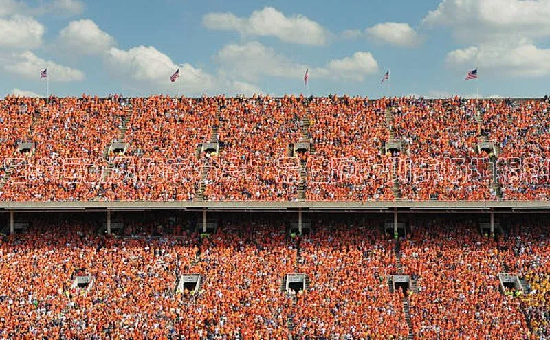 尊龙网站人生就是博美团