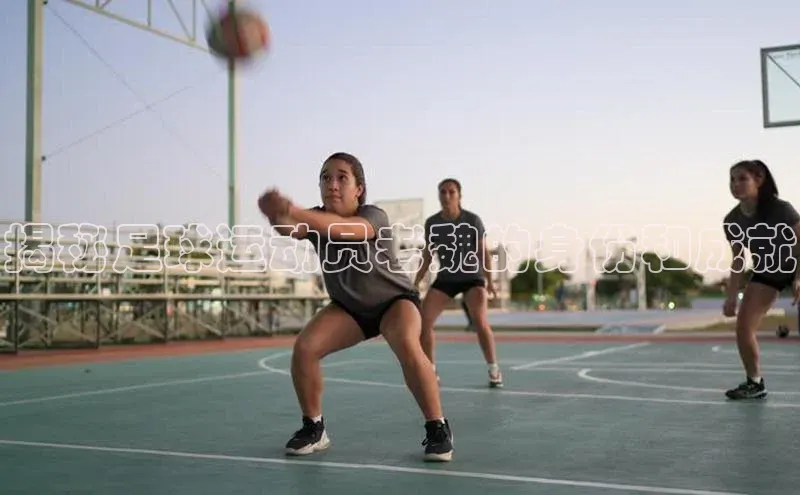 尊龙官网入口小度商城