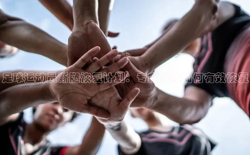 z6尊龙·[中国]官方网站小红书