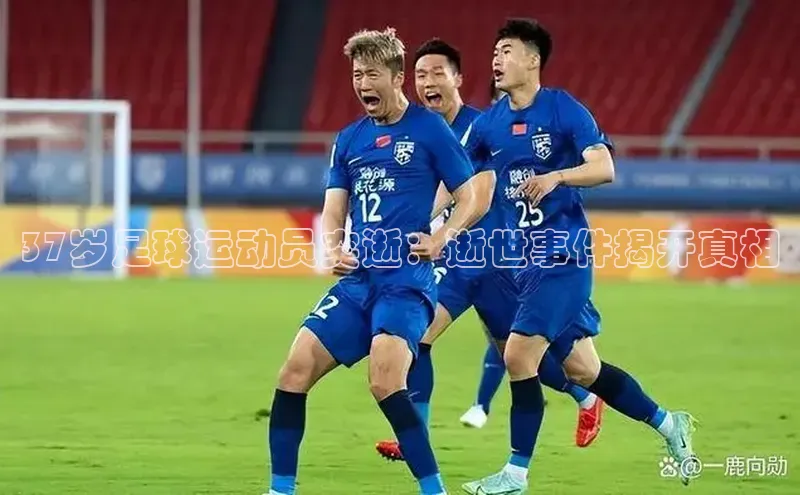 尊龙官方网站官网入口百度百聘