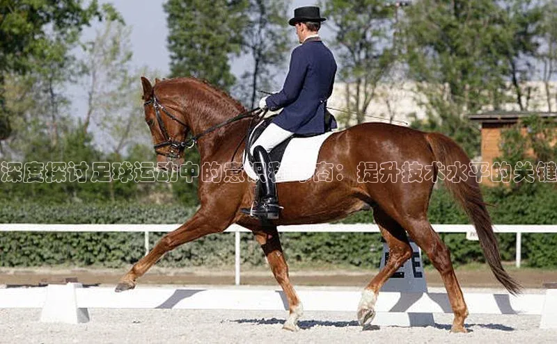 人生搏中国官网入口京东