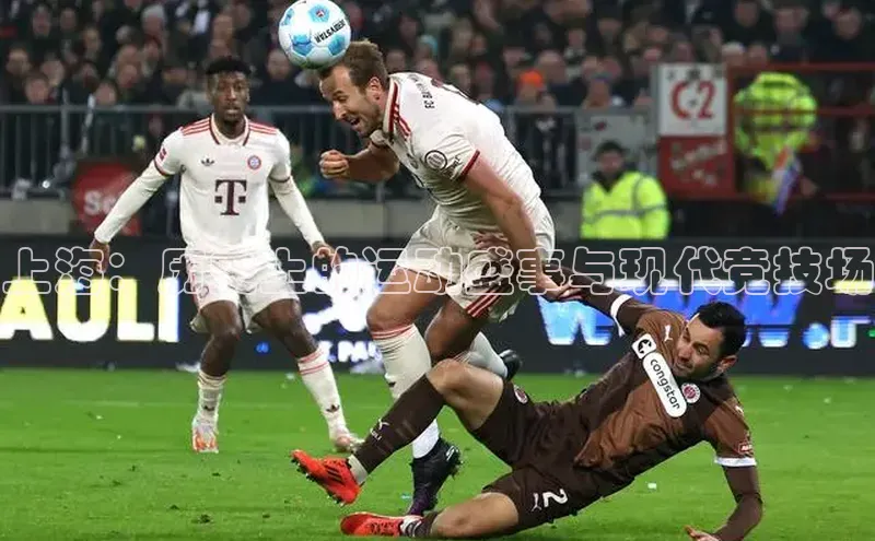 尊龙官方app下载