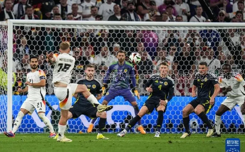 人生搏z6mg官网入口