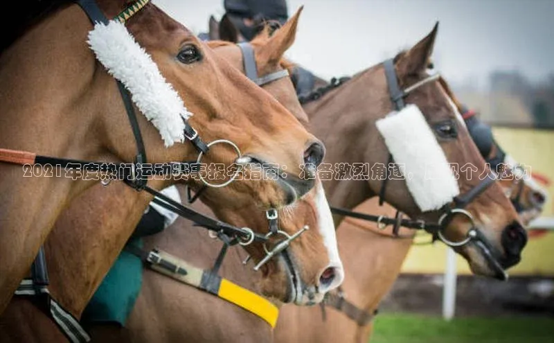 人生搏中国官网入口