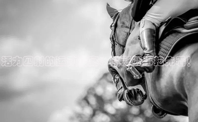 人生搏z6mg官网入口