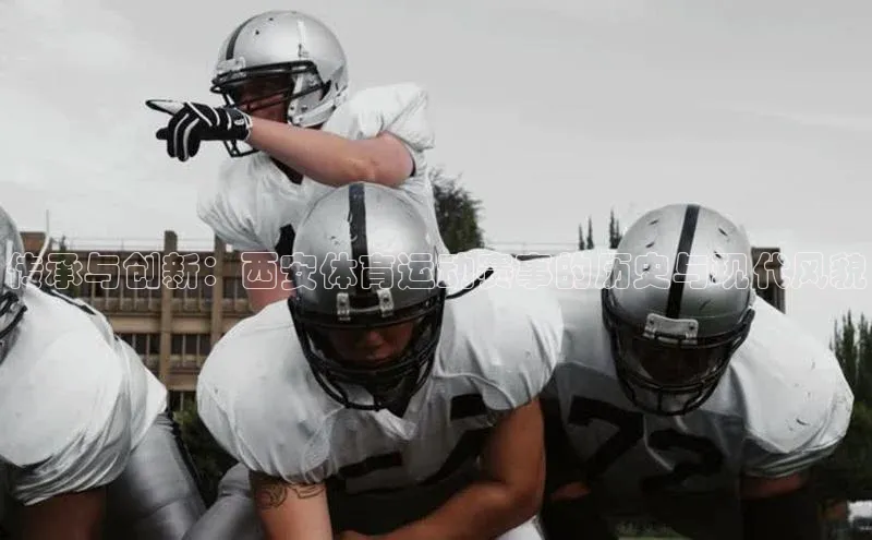 尊龙官方网站官网入口